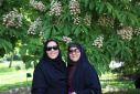 اردوی بازدید از کاخ موزه مجموعه سعدآباد