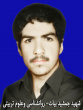 شهدا