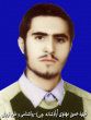 شهدا