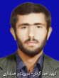 شهدا